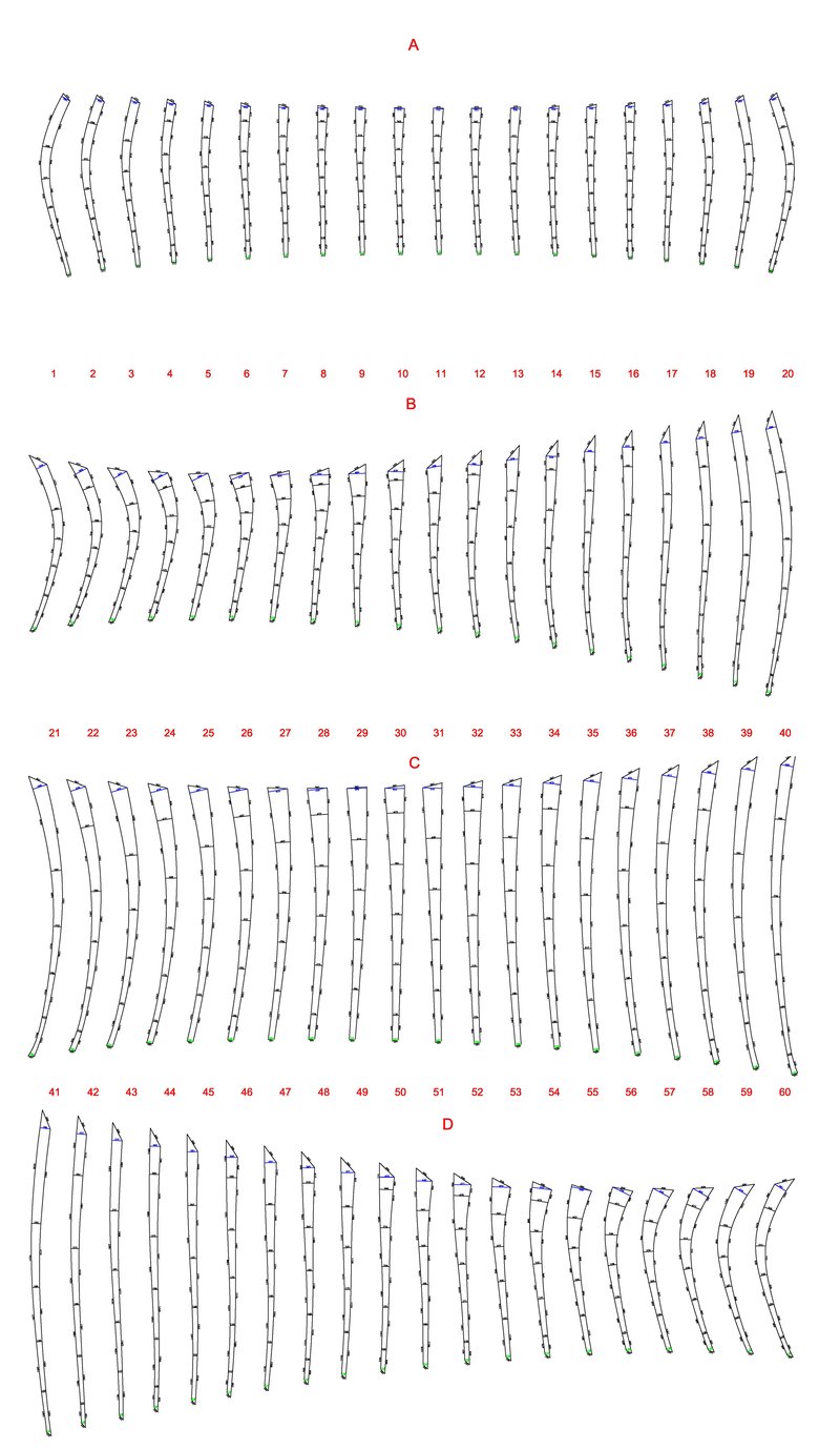 House-in-a-Garden_Cladding-unrolled-with-dims